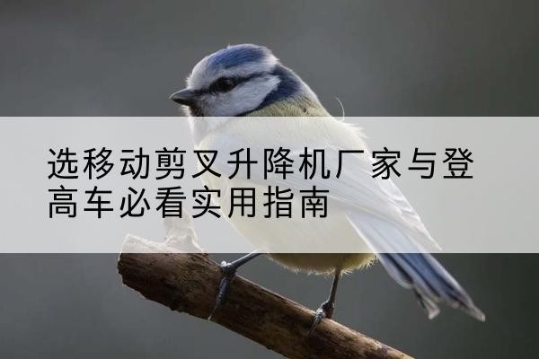 大连电动升降机厂家-选移动剪叉升降机厂家与登高车必看实用指南