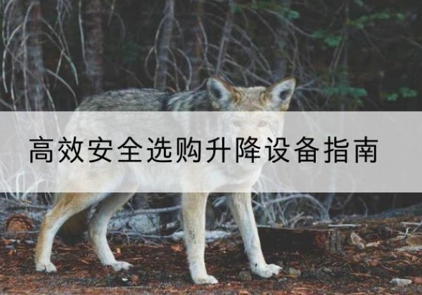 大连升降货梯厂家推荐-*安全选购升降设备指南
