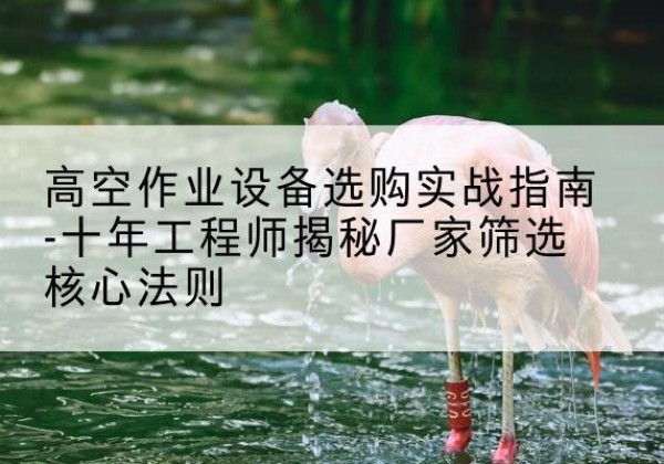 大连剪叉式升降机厂家-高空作业设备选购实战指南-十年工程师揭秘厂家筛选核心法则